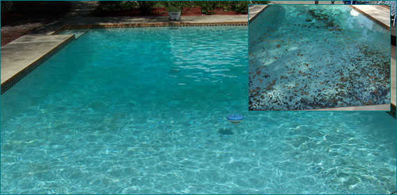 Pool Service Longwood, Fl